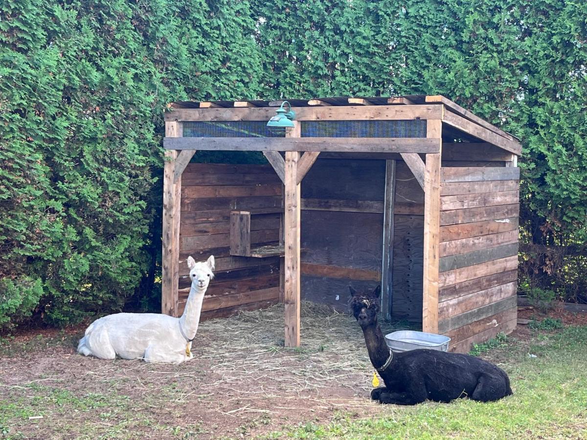 Gîte - La ruée vers l’orge Trois-Rivières Extérieur photo